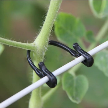 100Pcs доматени клипове Пергола градина зеленчукови свързващо вещество канап растение подкрепа U тип AUG-8A