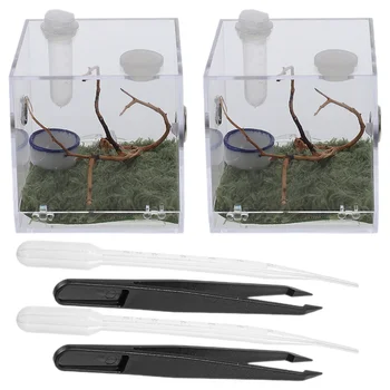 2 комплекта стъклен контейнер паяк терариум развъждане случай насекоми хранене заграждение резервоар акрил люпене