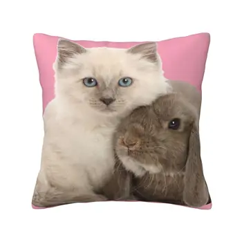 Kitten And Bunny Rabbit Best Friends Fashion Sofa Throw Pillow Cover Pillowcase Pets Cat Lover Baby Animals Bunny Rabbit Best