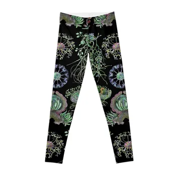 Изкуство Форми на природата Гъбички-Ascomycetes Клинове панталони харем панталони Дамски клинове