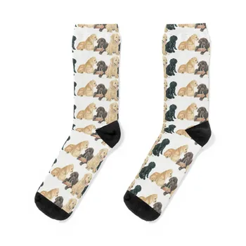 Лабрадор кученца Чорапи баскетбол компресия Лотове хокей Дамски чорапи Мъжки